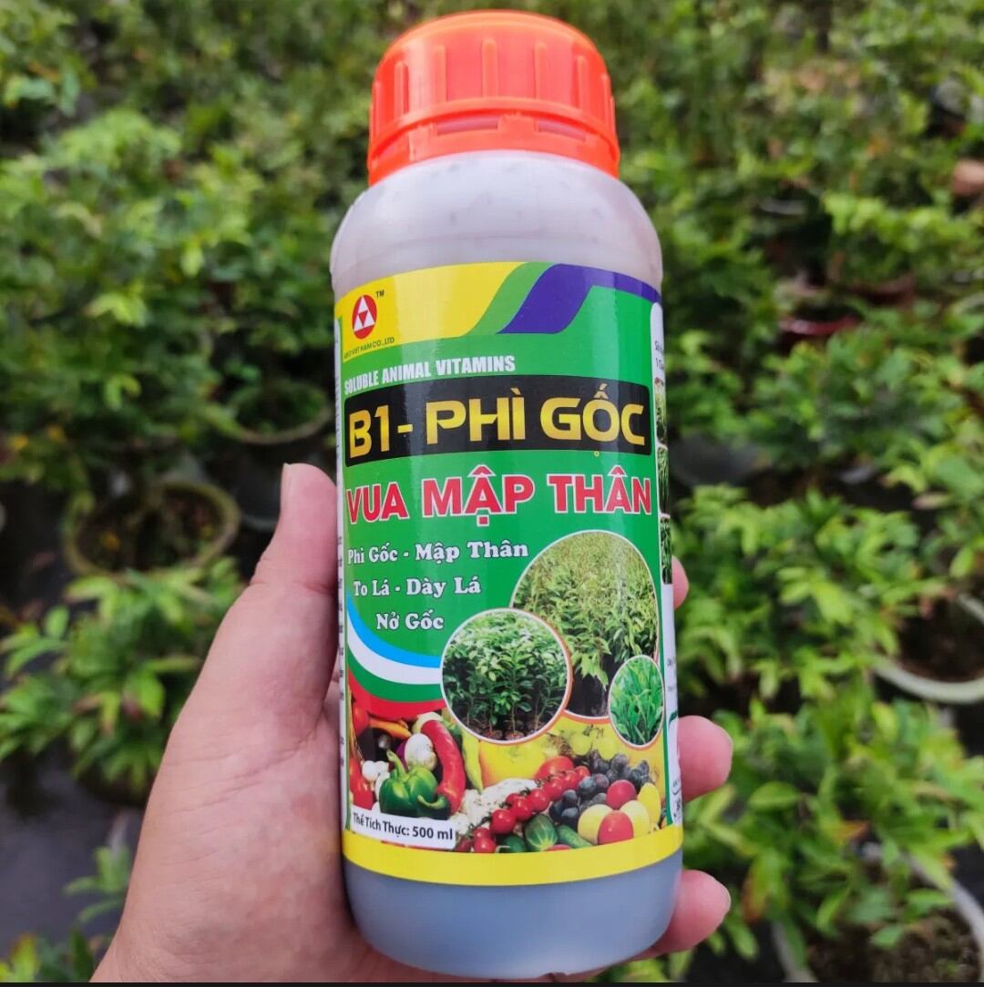 Phân bón lá B1 siêu phì gốc vua mập thân mập đọt nở gốc xanh cây