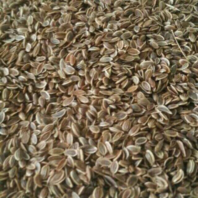 300g hạt thì là
