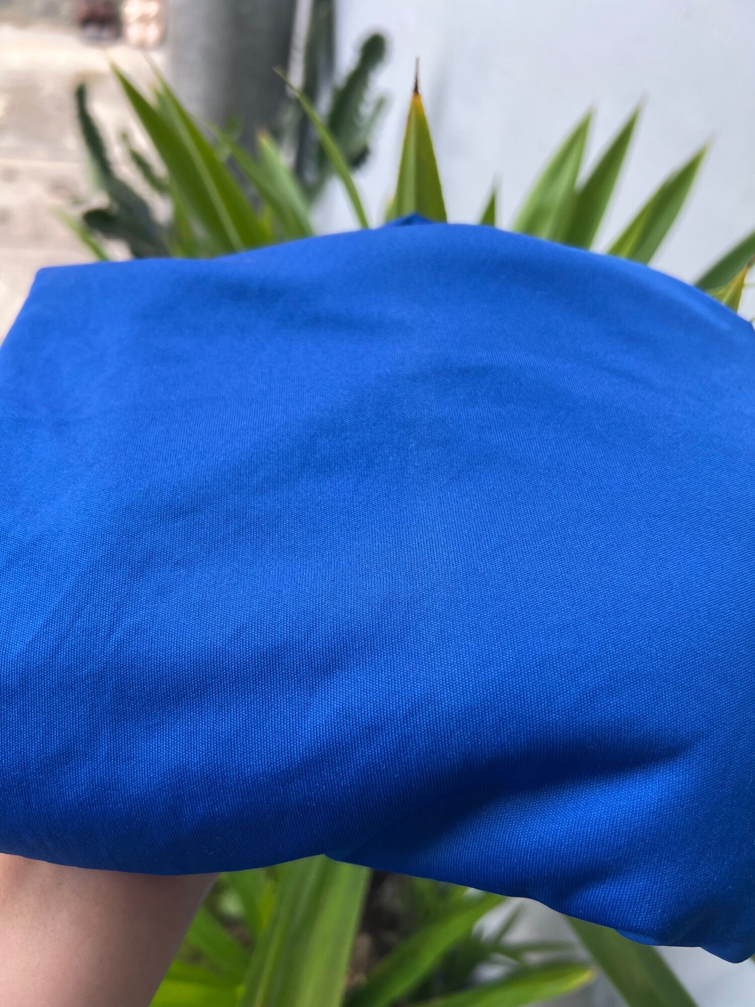 Thun 100% cotton 2c màu xanh coban và 4c màu đen