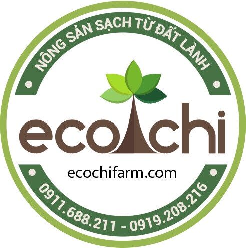 Nước trái nhàu mật ong Ecochi - 250ml