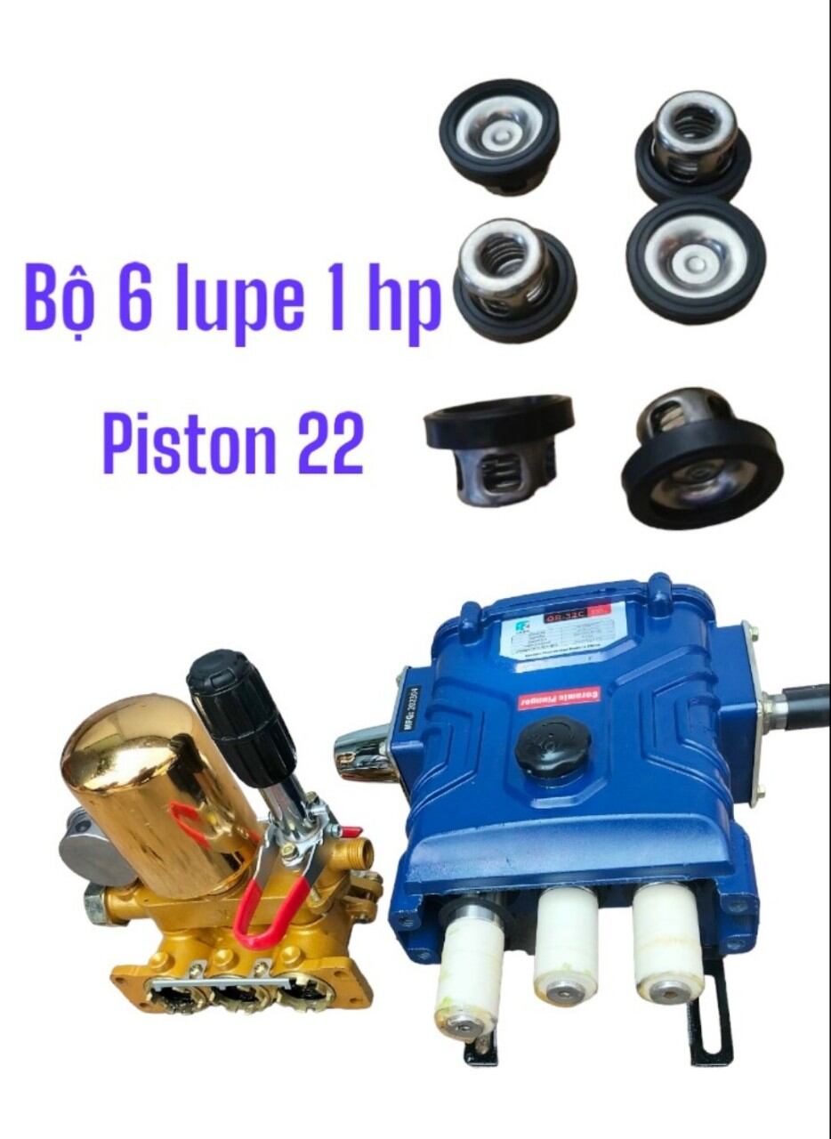 bộ 6 lupe lắp cho máy rửa xe dây curoa 1hp piston 22mm.