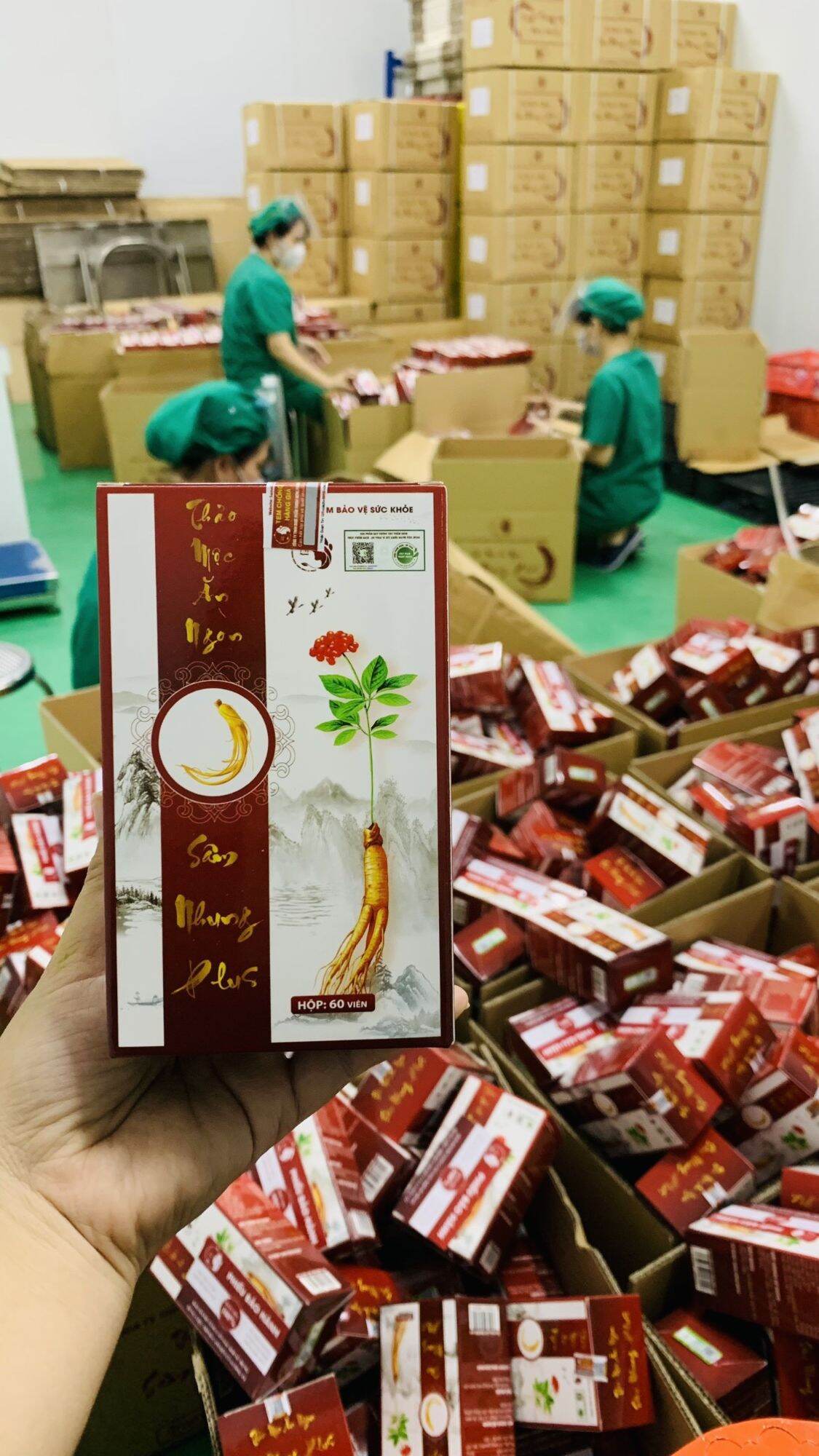 viên thảo mộc ăn ngon ngủ ngon sâm Nhung plus