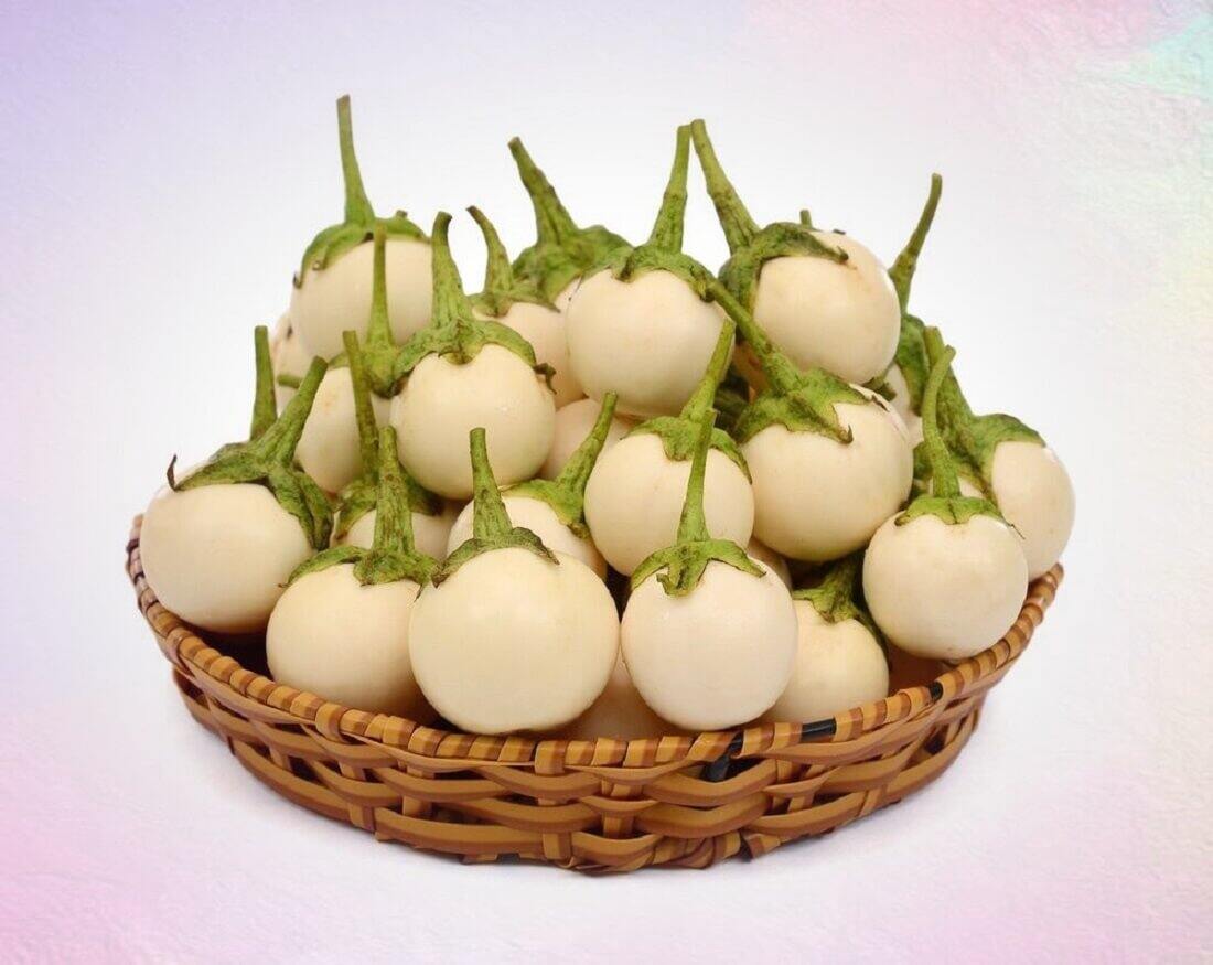 Hạt cà pháo trắng F1 giống chuẩn