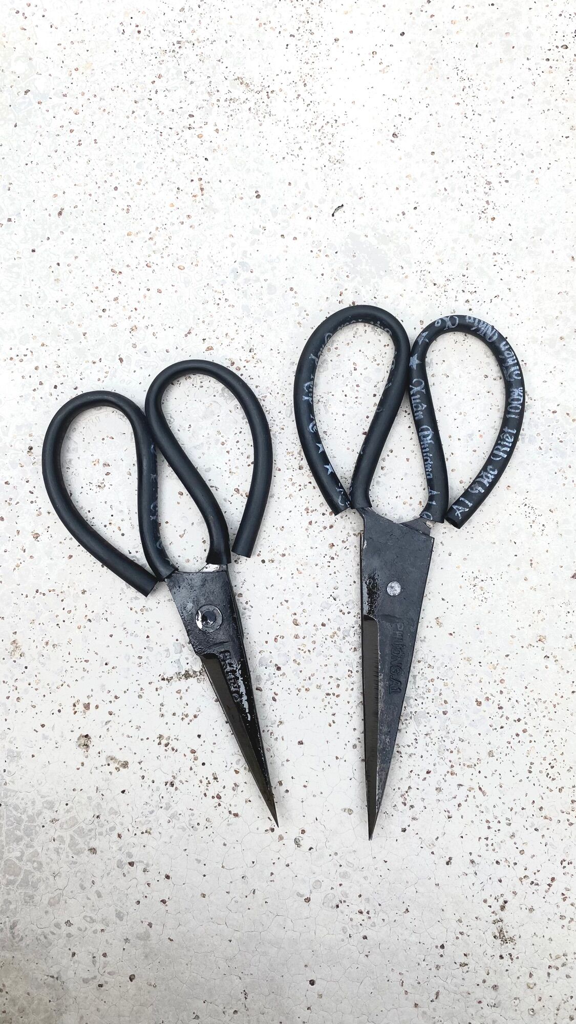 Kéo thép đặc biệt cắt cá loại ngắn T1