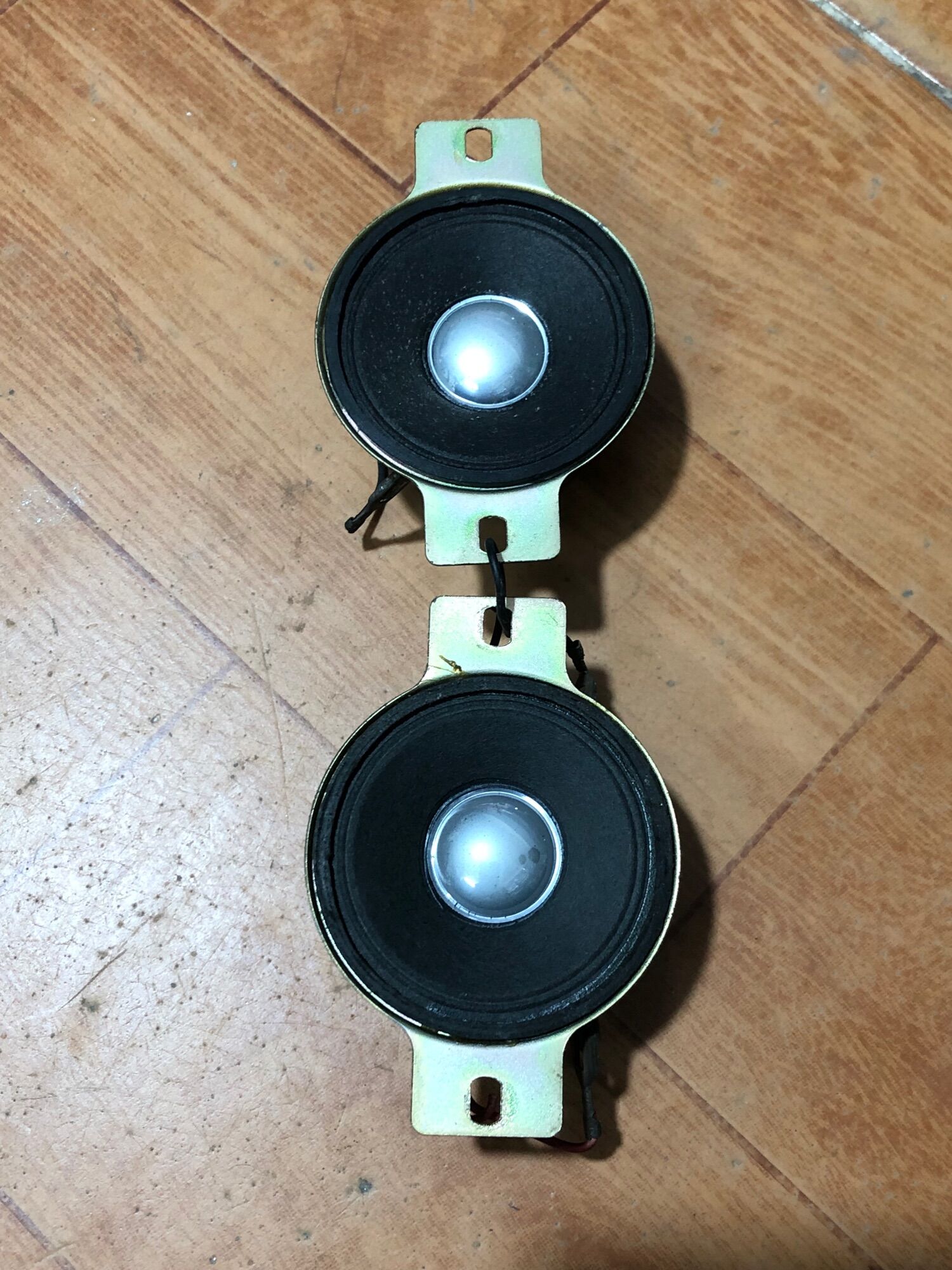 Đôi  Loa Tép Bãi. Tiếng ngọt mềm
