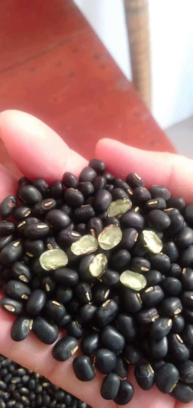 Đậu đen xanh lòng 1kg