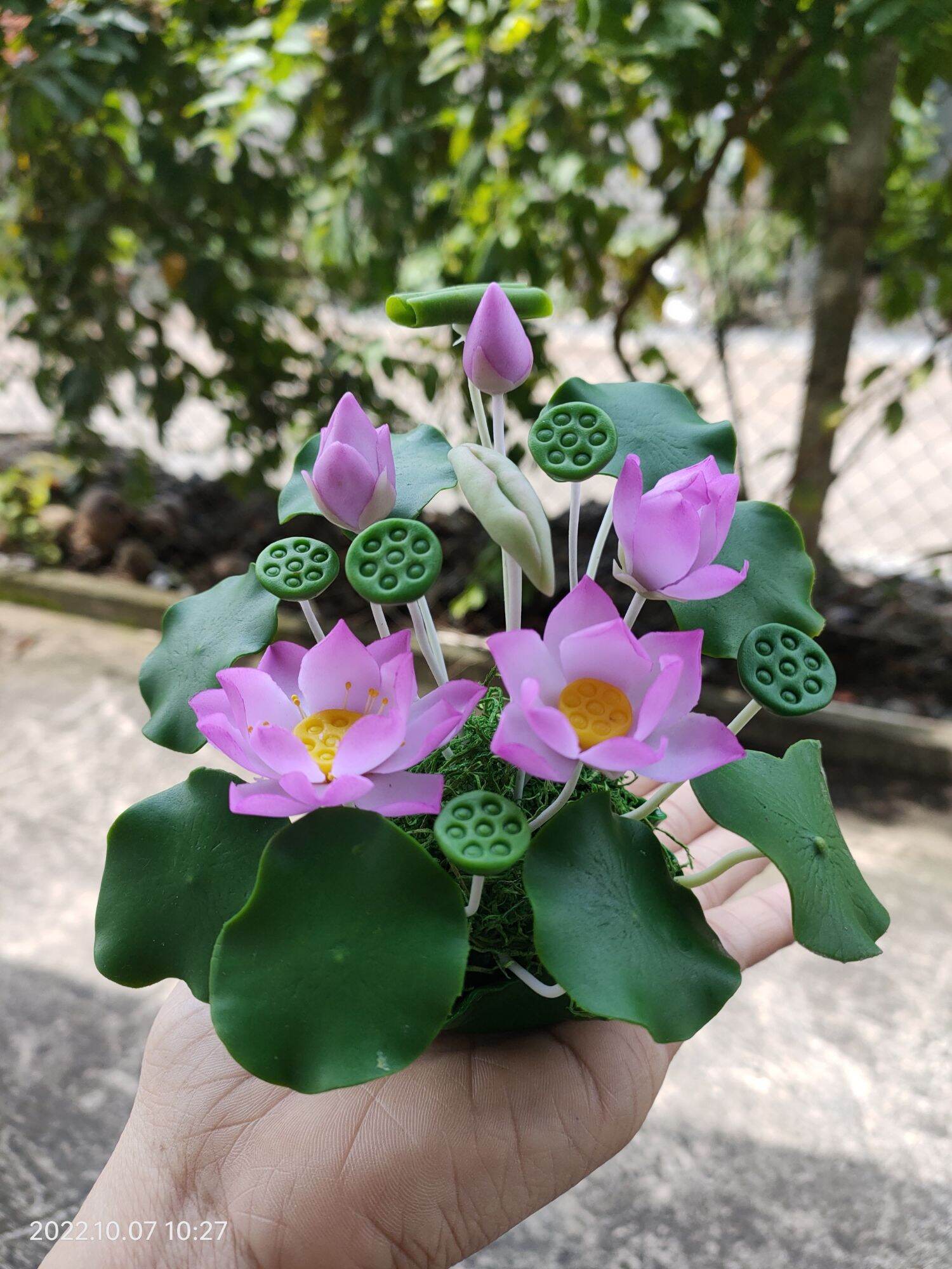 Chậu hoa sen đất sét mini