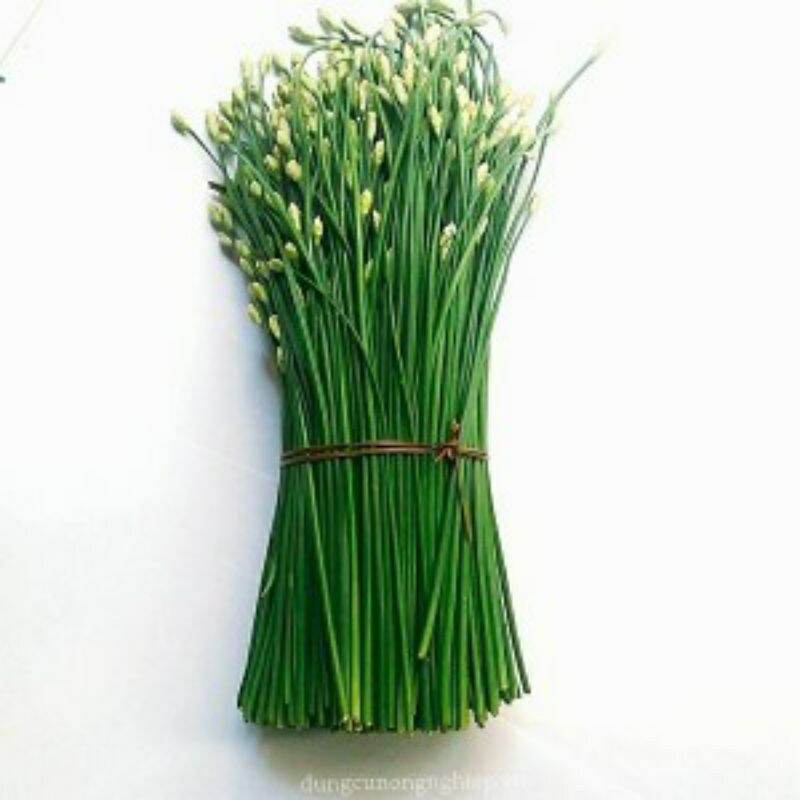 Hạt giống hẹ bông - gói 1gr