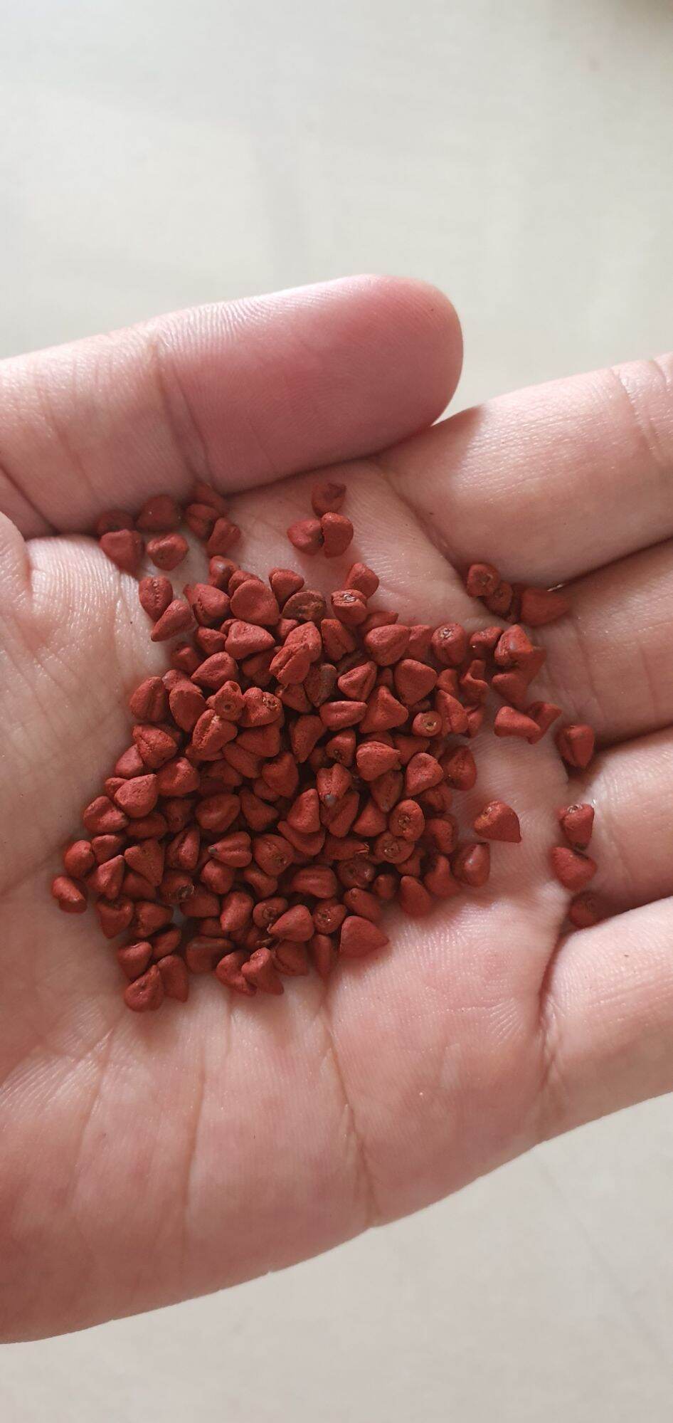Hạt điều màu, hạt cà ri