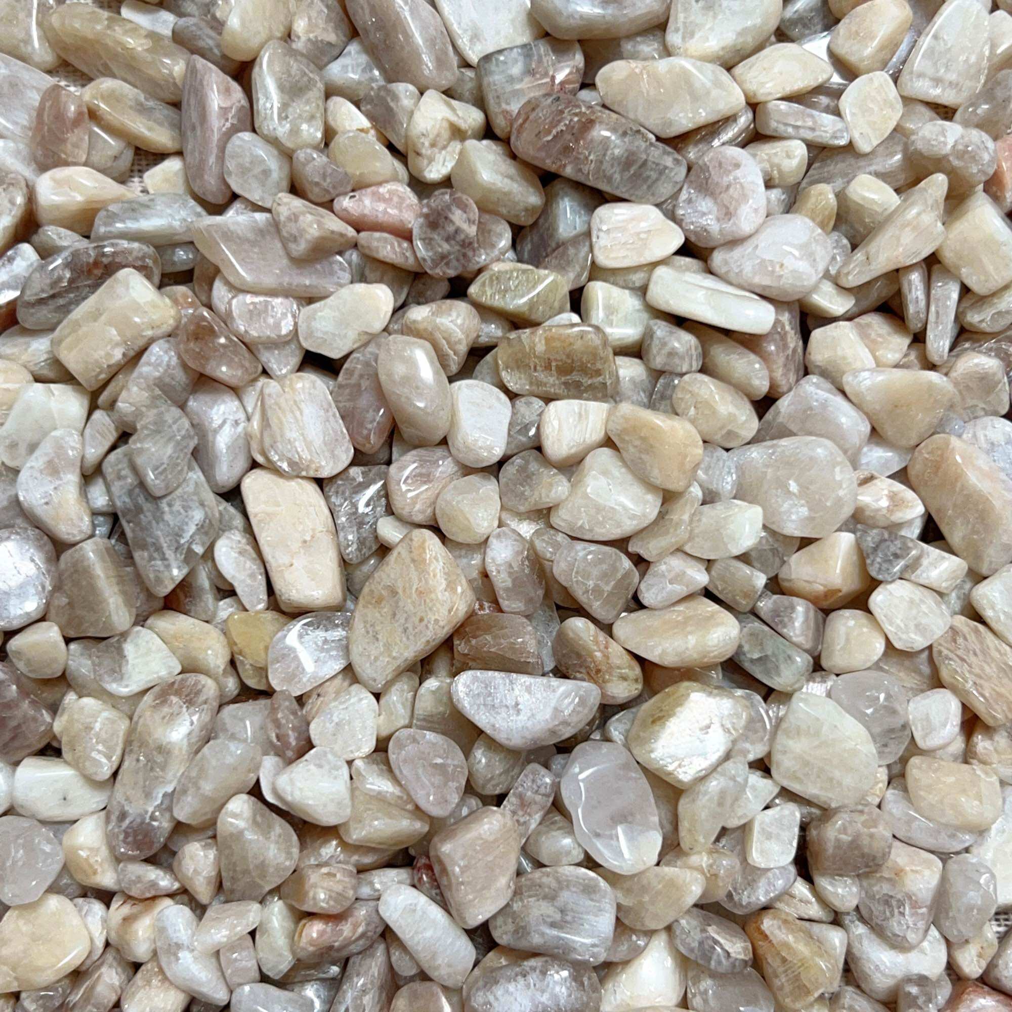 100g Vụn đá Moonstone - Đá mặt trăng tự nhiên