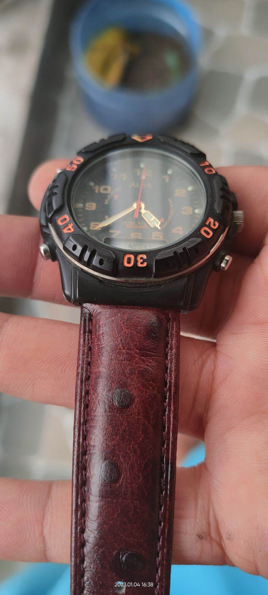 ALBA NỘI ĐỊA NHẬT