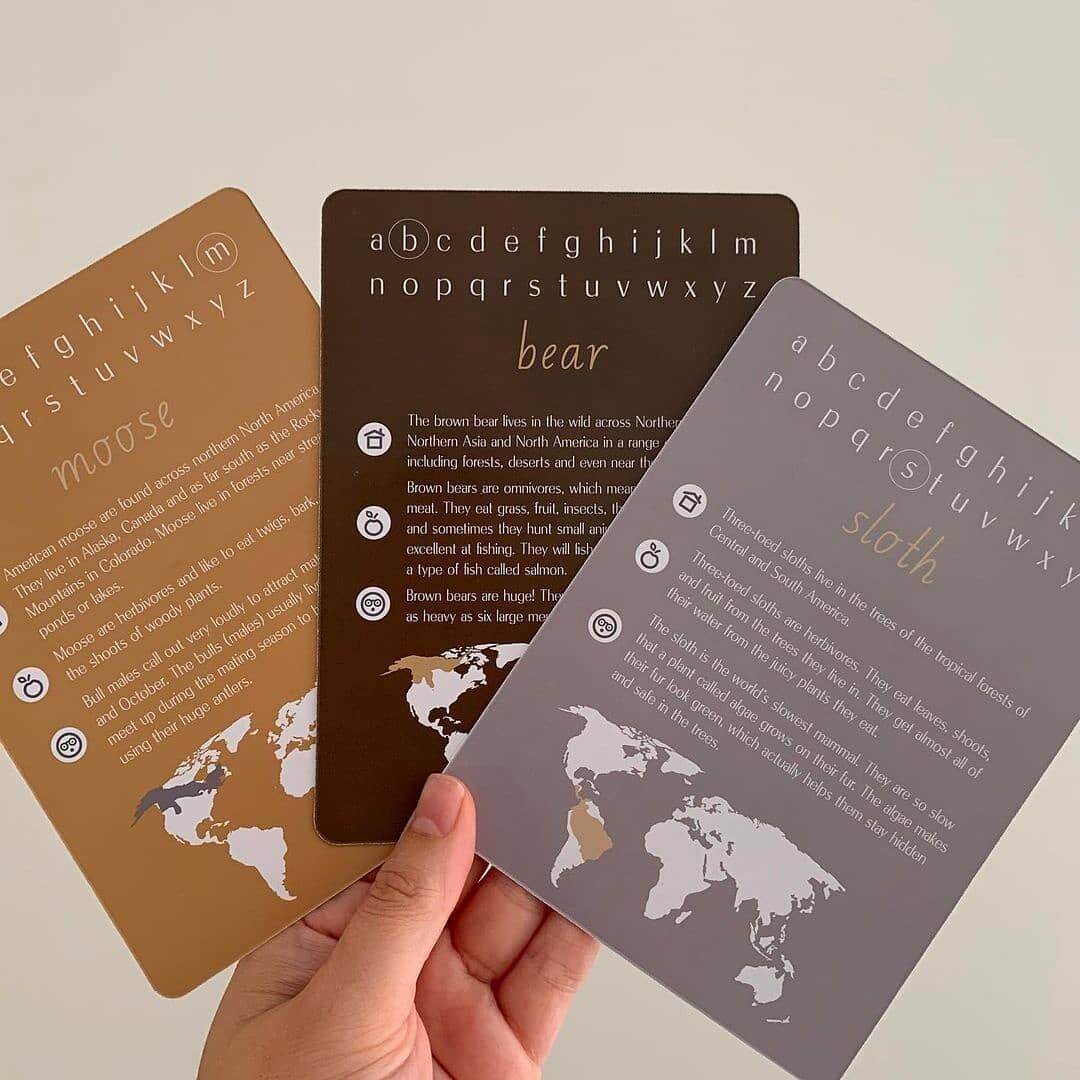 Alphabet Flash Cards - Thẻ học tiếng Anh cho bé