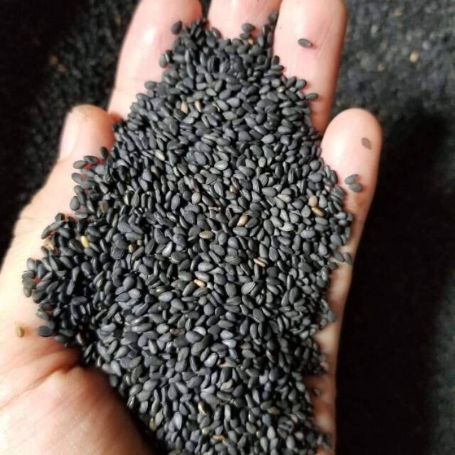 Vừng nông sản quê, Đen /Vàng/ Trắng (500gam)
