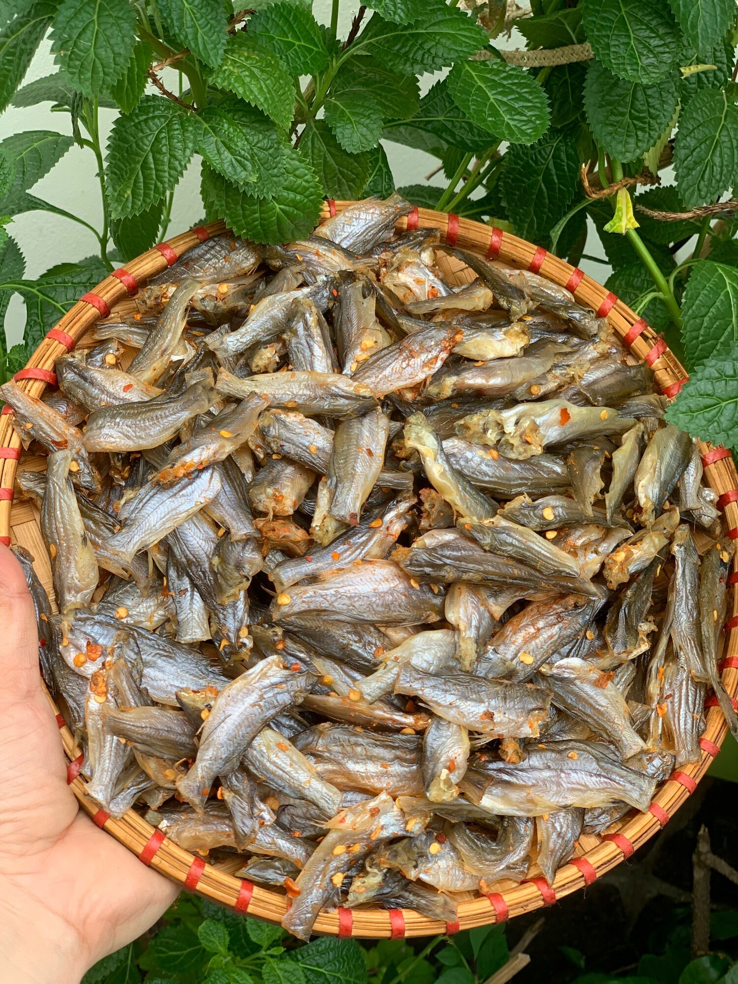 [500gr] ĐẶT SẢN KHÔ CÁ CHỐT ĐỒNG 💯 THIÊN NHIÊN
