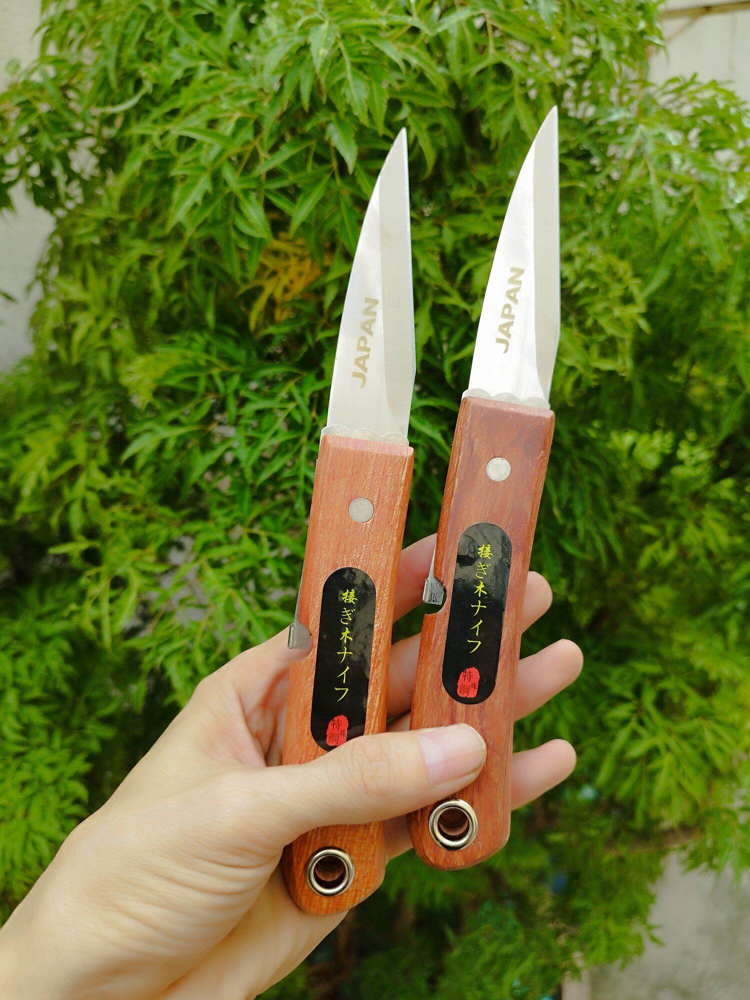 Dao nhật cắt ghép cành cây
