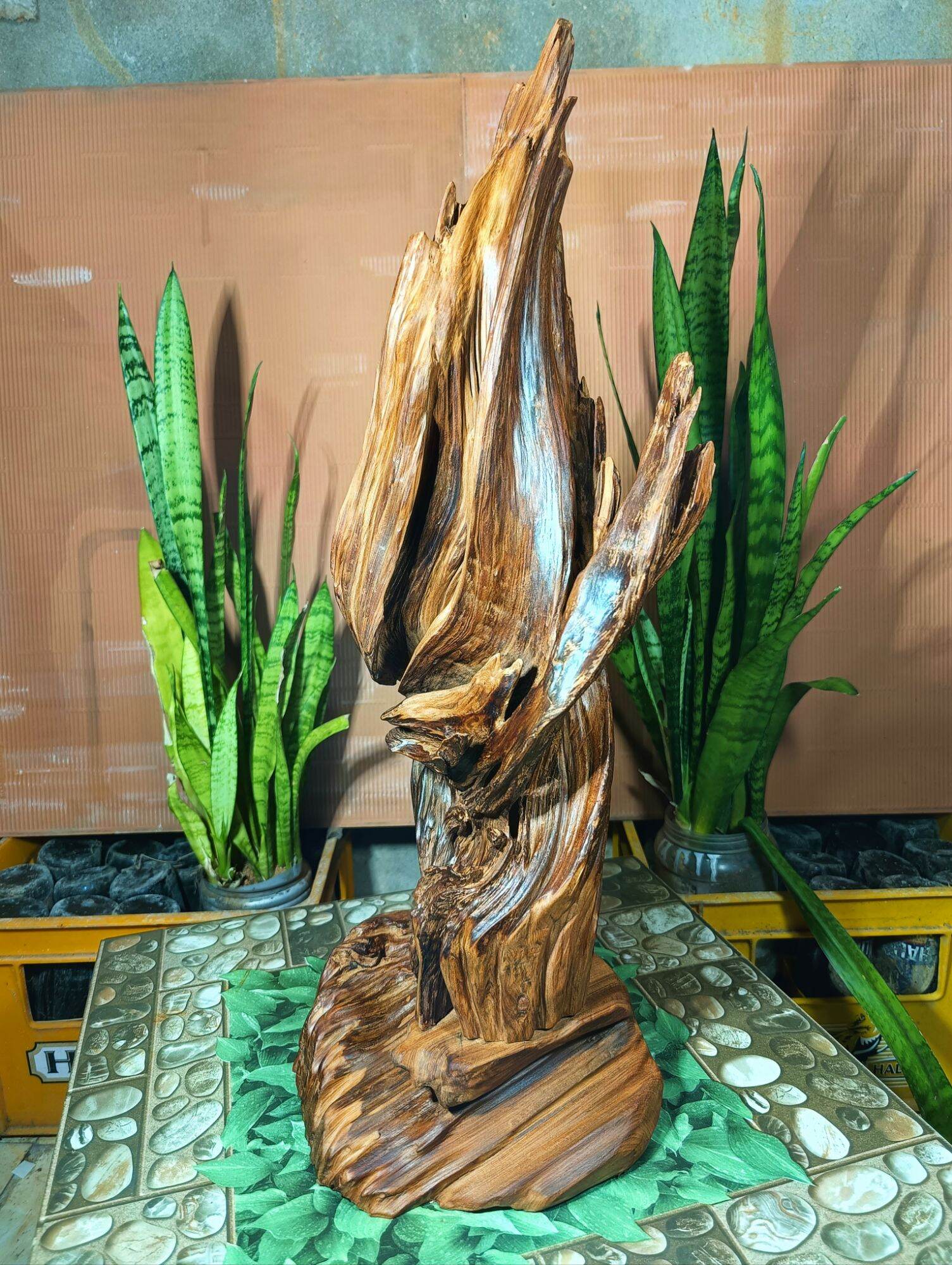 lũa gỗ thơm ngọc am đỏ hà giang