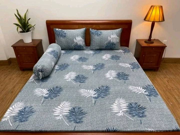 Bộ ga thun lạnh hàn quốc cao cấp