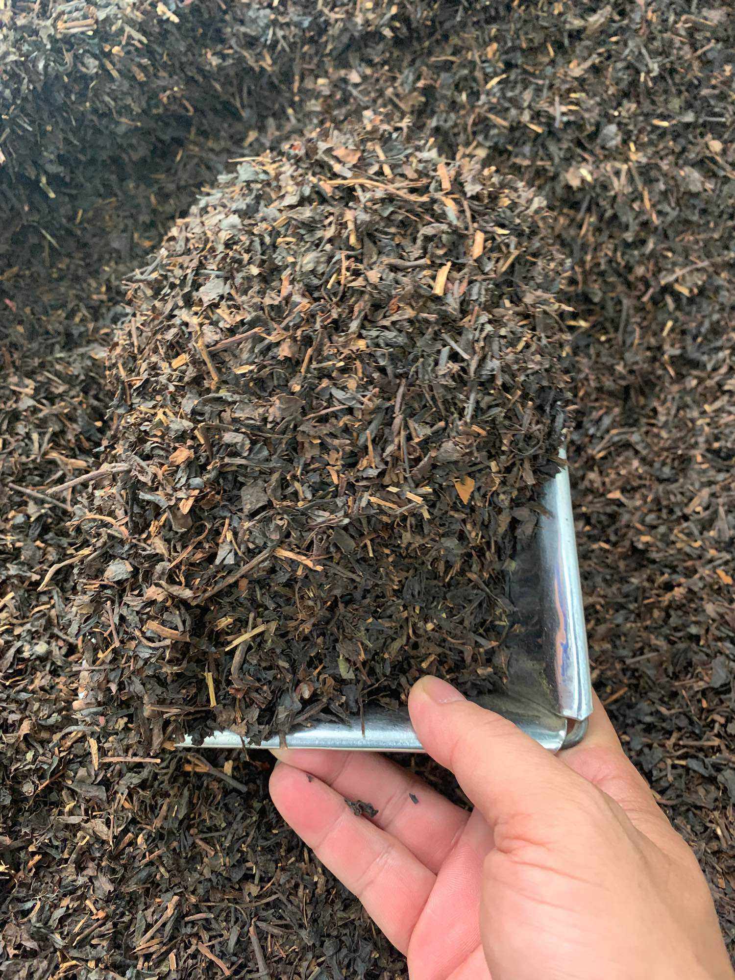 Hồng Trà Trà Đen Nguyên Liệu làm trà sữa trà tắc trà chanh