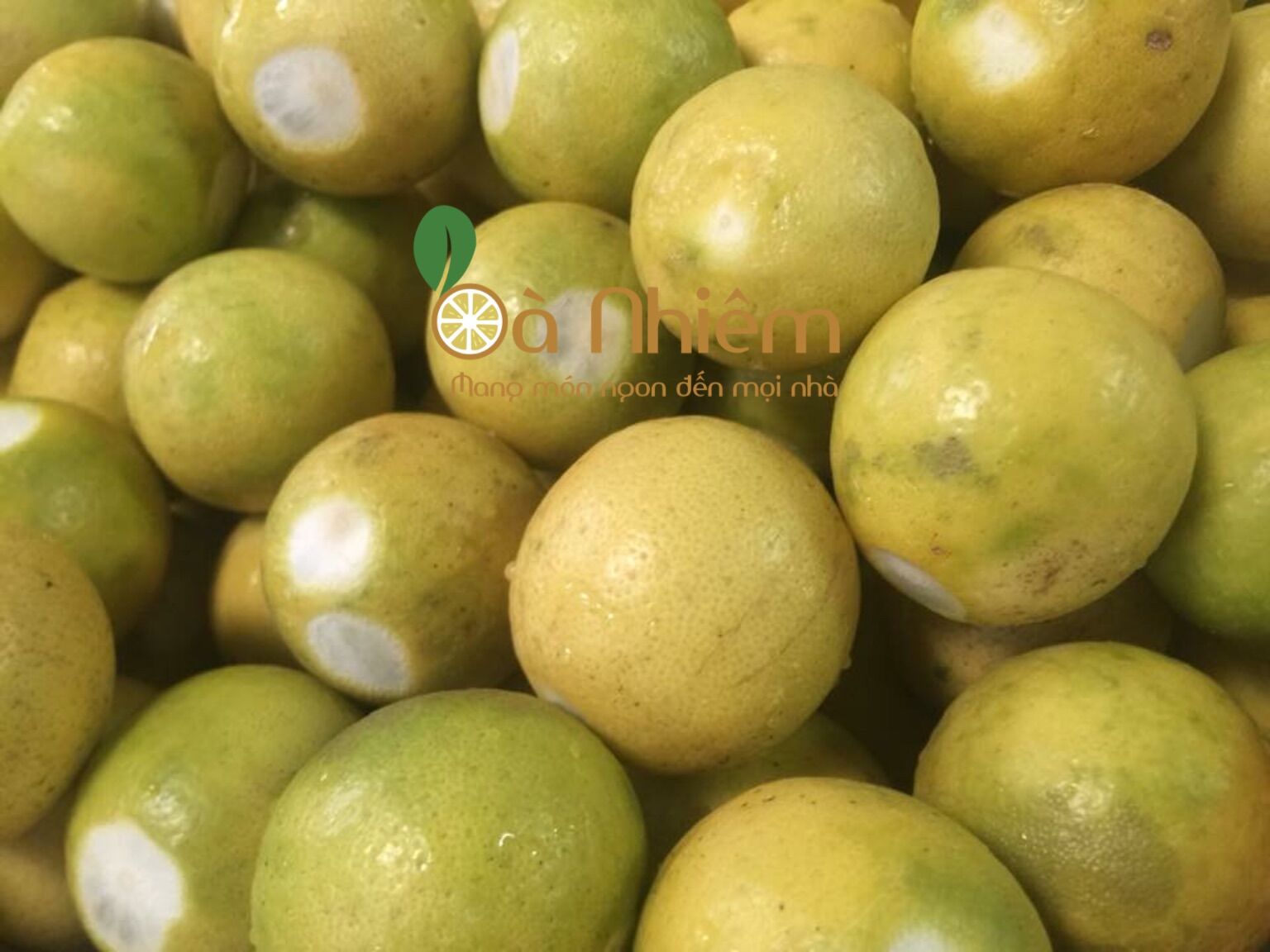 Chanh muối Bà Nhiêm chính hãng 100%