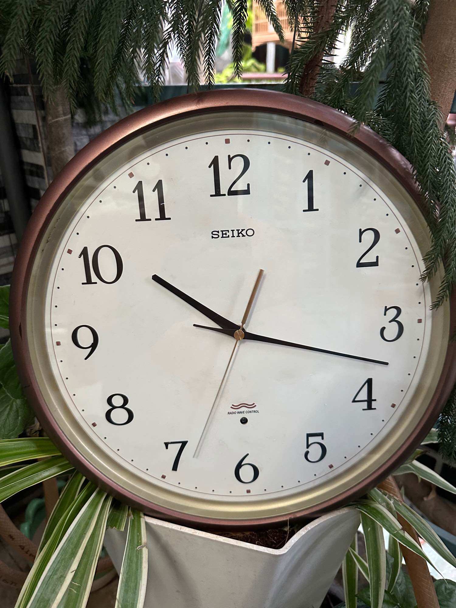 Đồng hồ treo tường seiko nội địa nhật