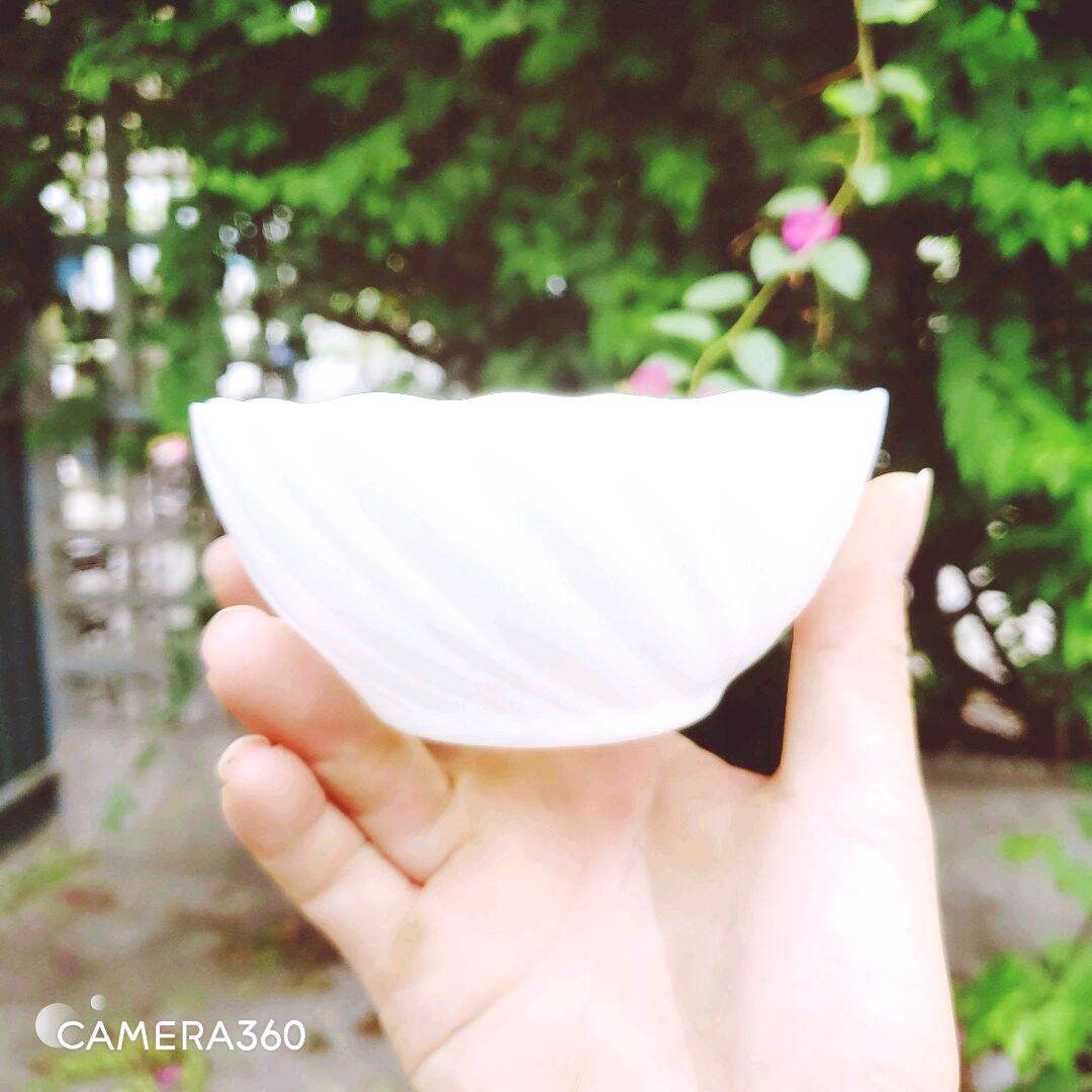 Combo 6 Chén cơm Ngọc PASTEL