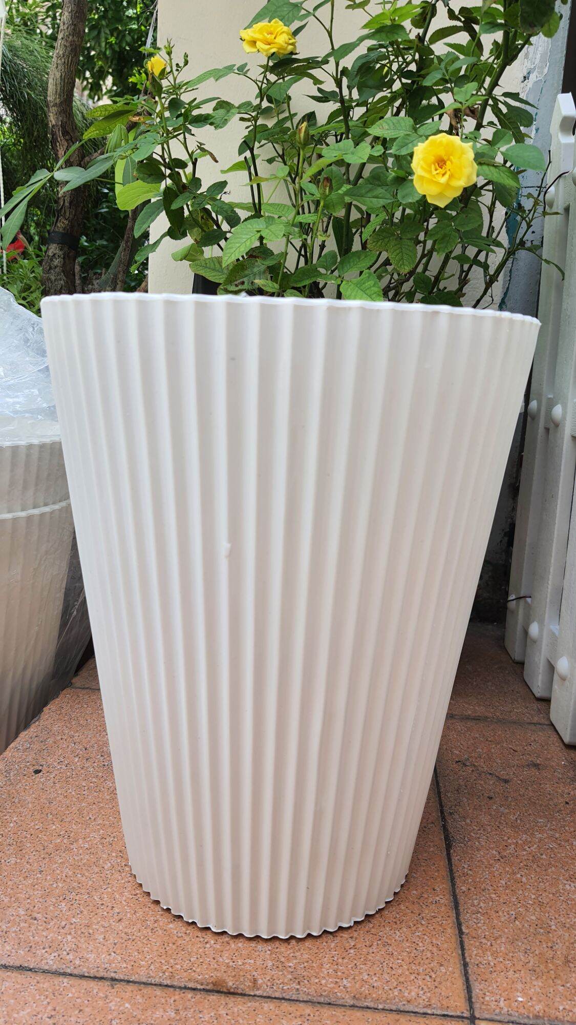 Chậu nhựa tròn dáng cao, chậu gân sọc 24x30cm