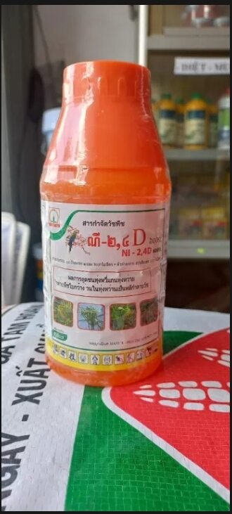 Thuốc diệt cỏ Glyphosate nicotex 2.4D hàng cambodia tiêu diệt tất cả các loại cỏ lá láng,rau muống,và các loại cỏ khác...
