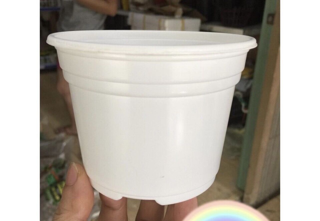 Chậu nhựa trồng sen đá 105x80mm
