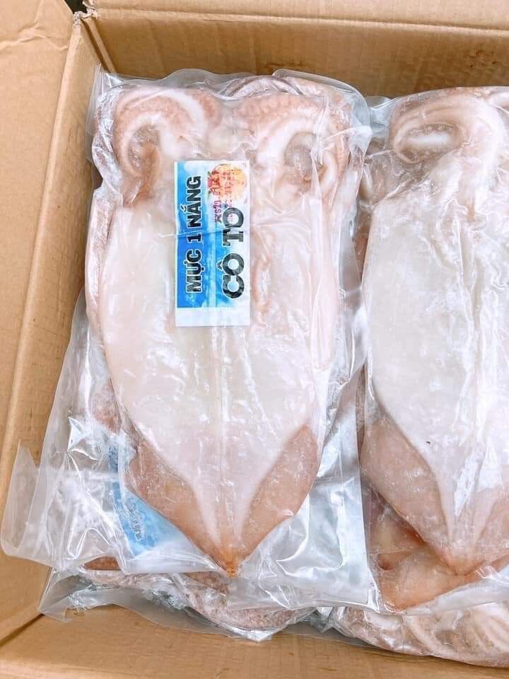 Mực 1 nắng cô tô