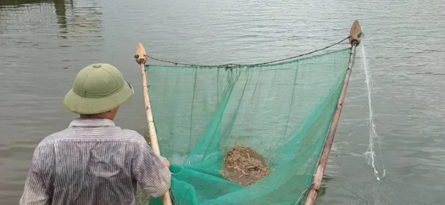 Te tép,xiếc tôm cá nhỏ,tép riu mắt lưới 1ly