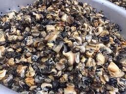 Ruột ốc bưu làm sạch 1kg (giao tphcm)