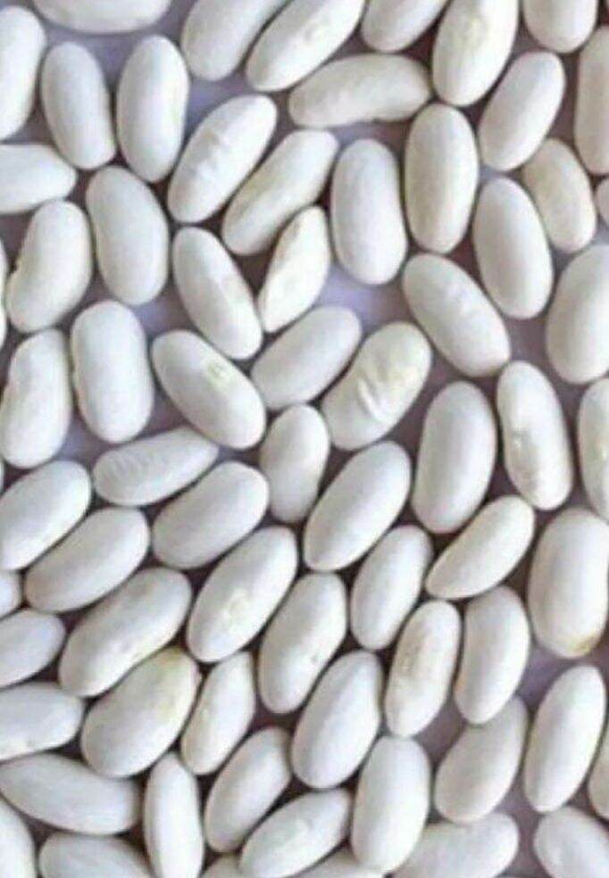 1kg đậu trắng
