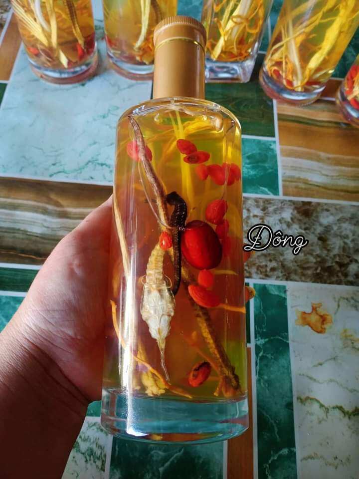 combo cá ngựa khô (tứ hải long vương)