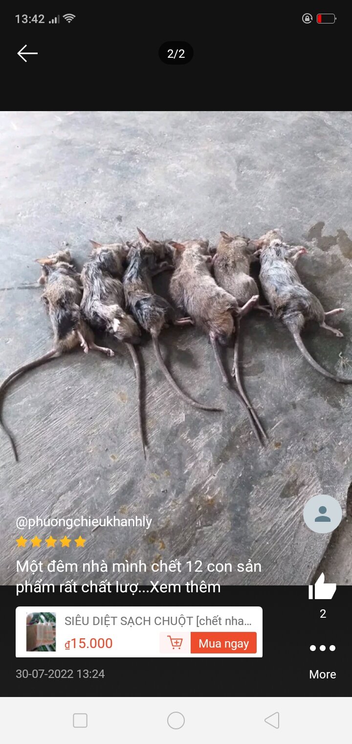 siêu diệt sạch chuột 🐀🐀 thuốc diệt chuột cực mạnh