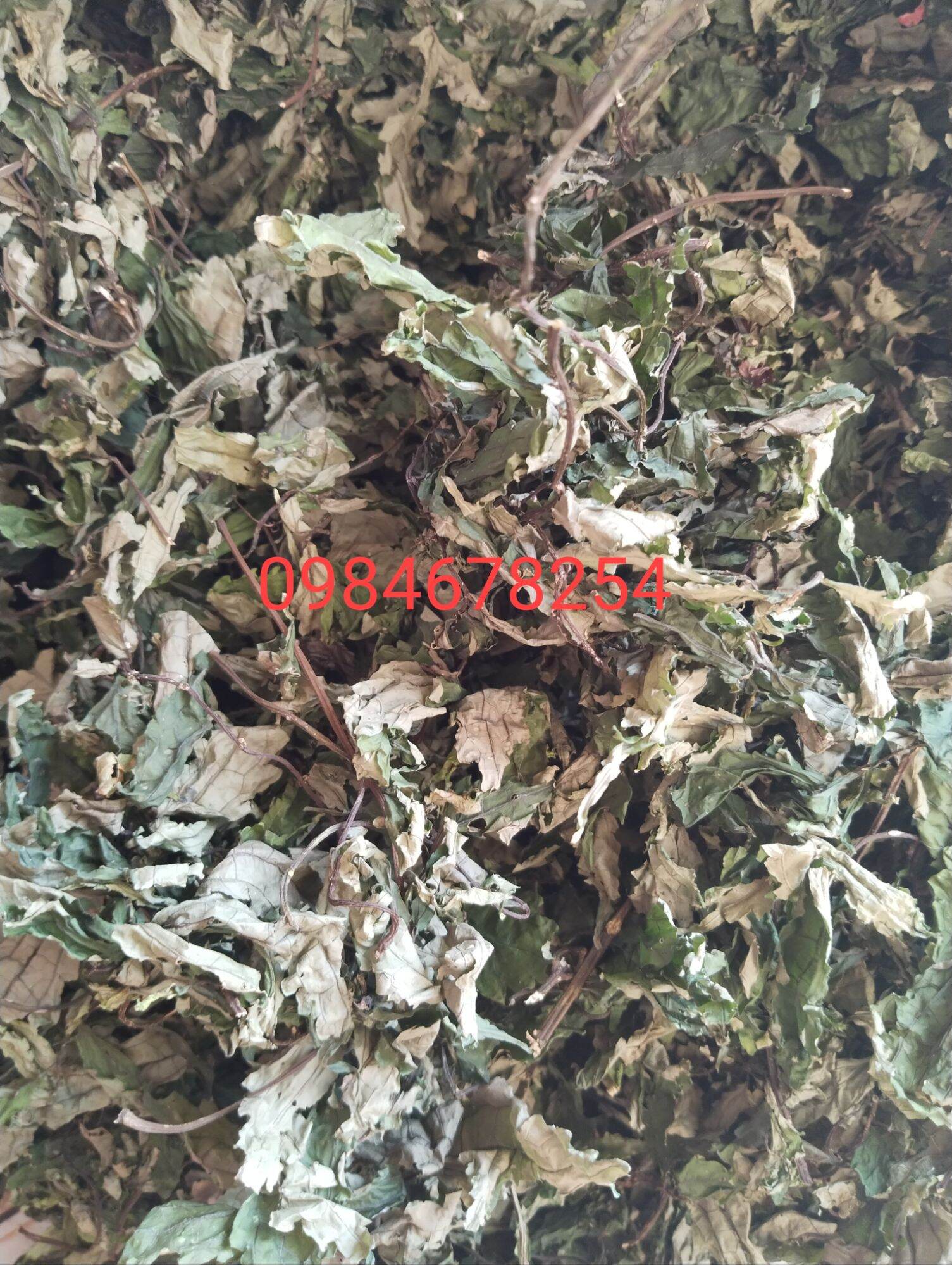 300g lá đắng rừng tây bắc