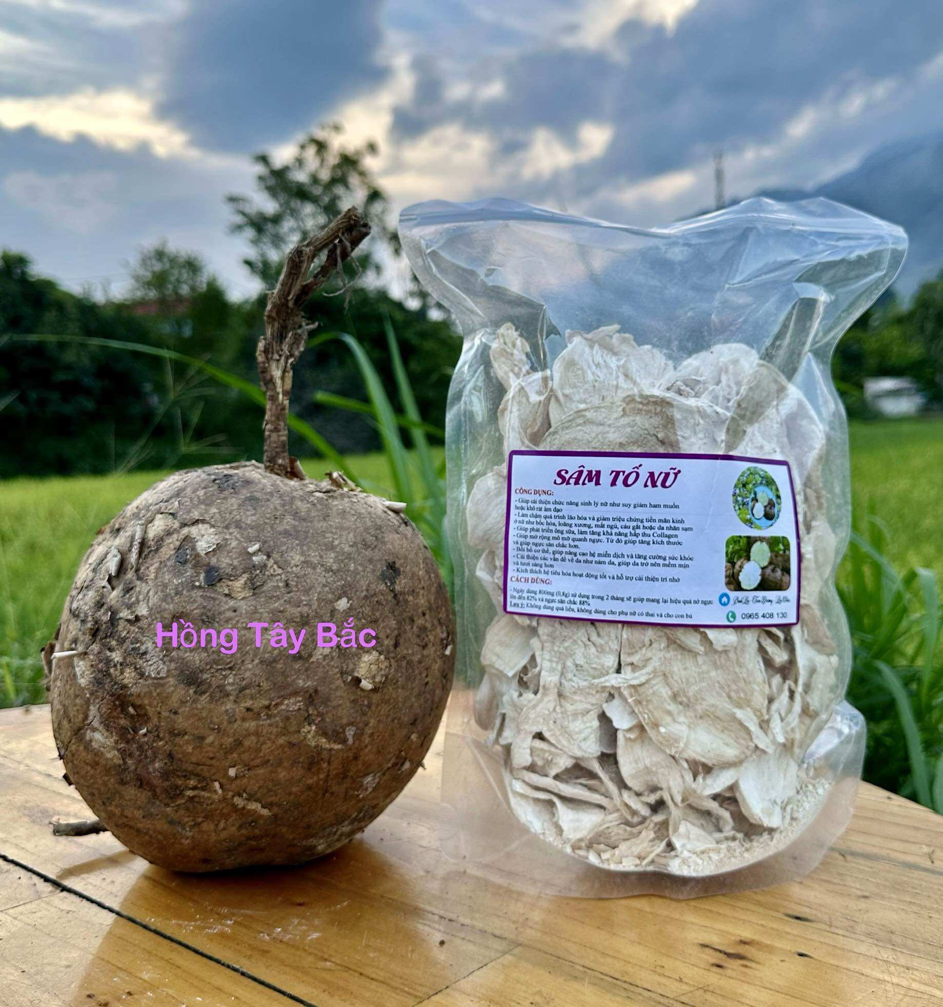 Sâm Tố Nữ Nguyên Chất ( Miếng Khô Và Bột Tiện Dụng )
