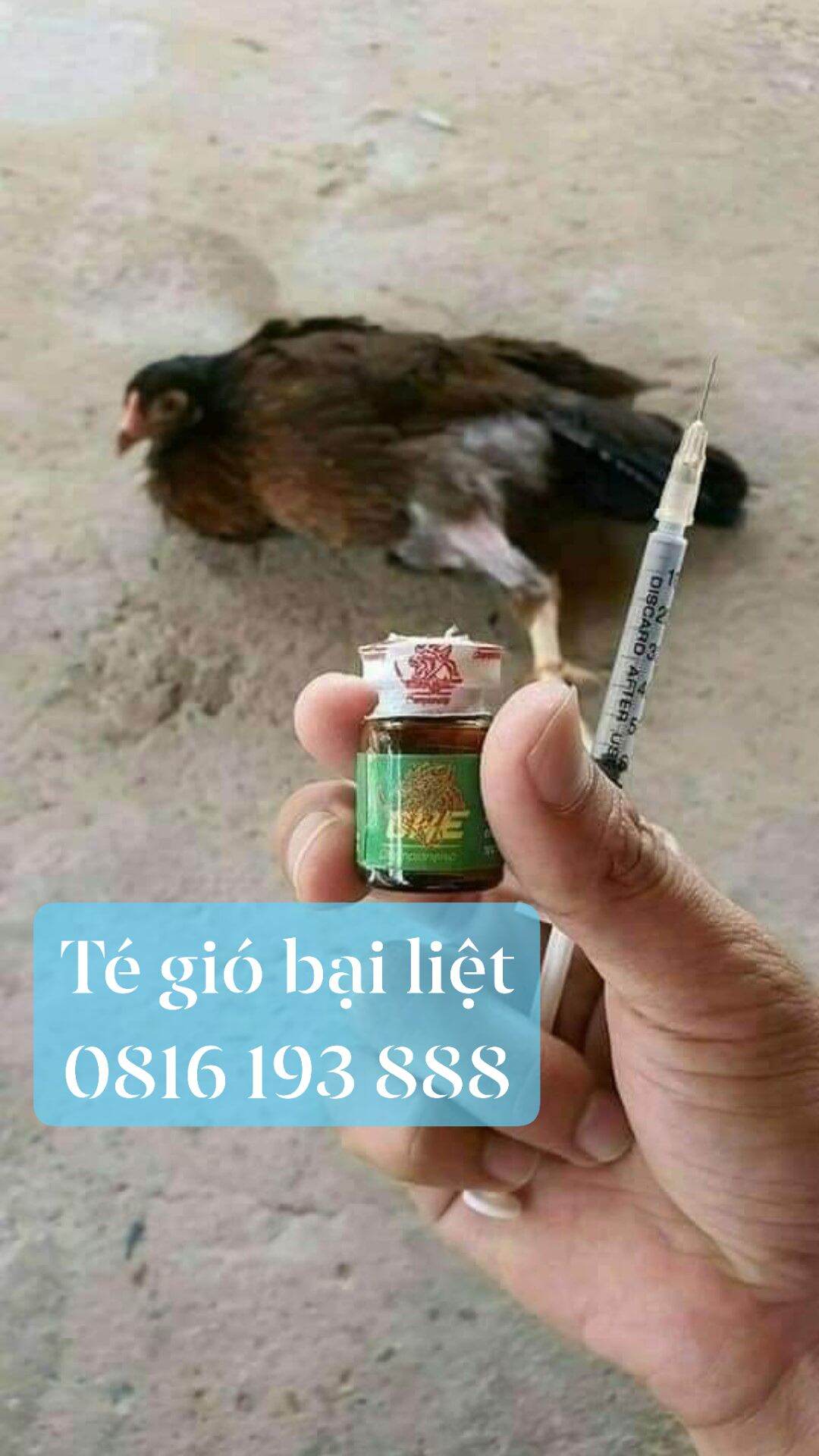 Té gió cúm chân bại liệt