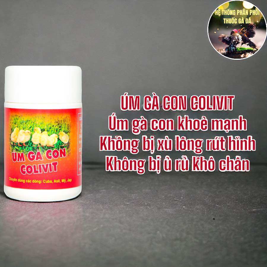 THUỐC GÀ ĐÁ COLIVIT (1 LỌ 30GAM) CÔNG THỨC ÚM NUÔI GÀ CON SỐNG 101% (CÁC DÒNG GÀ NHẬP CUBAN, ASIL, MỸ, JAP...)