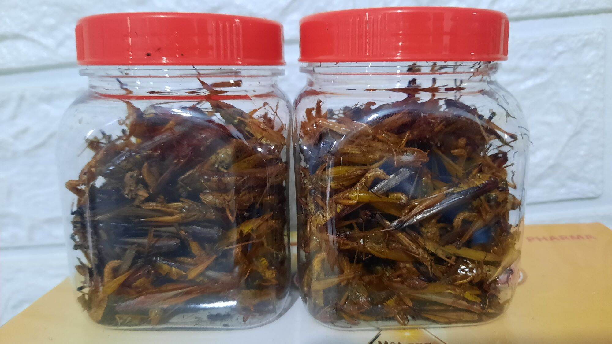 combo 2 hủ cào cào sấy khô. 40gram= 2 hủ