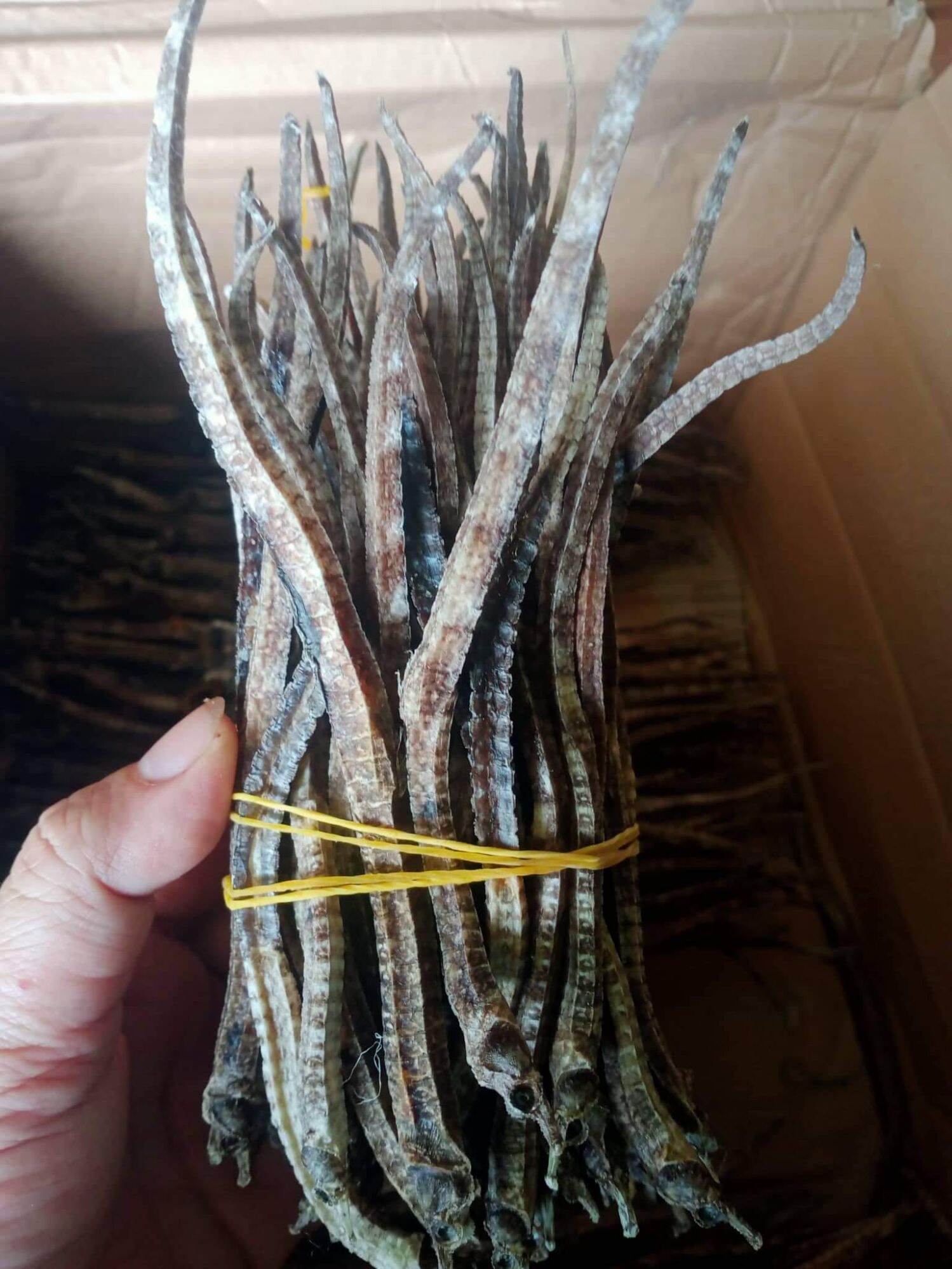 20 con hải xà khô