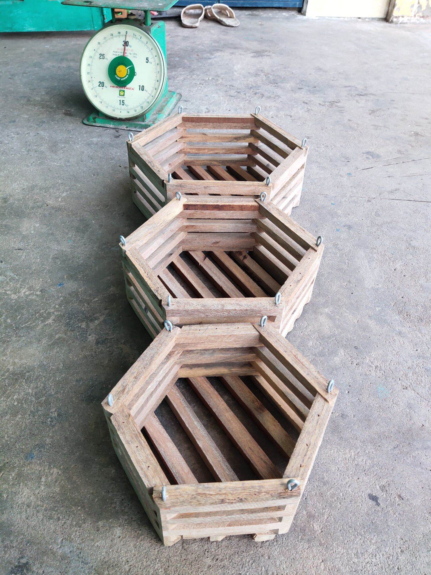 Combo 3 chậu gỗ lục giác size 20cm