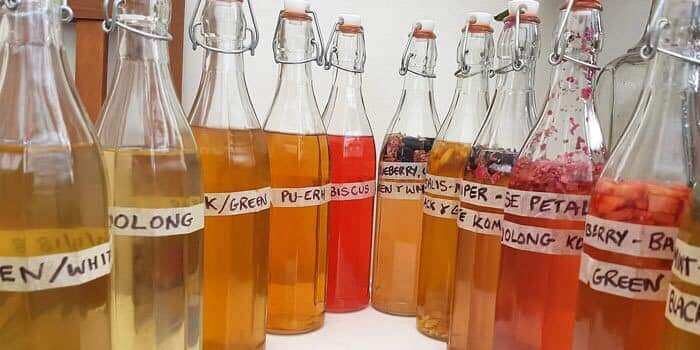 Scoby + Nước Mồi Làm Trà Kombucha combo 2 Con Nấm ( Kèm Cẩm Năng Hướng Dẫn Nuôi Chi Tiết Và Bảo Hành Nuôi Thành Công)