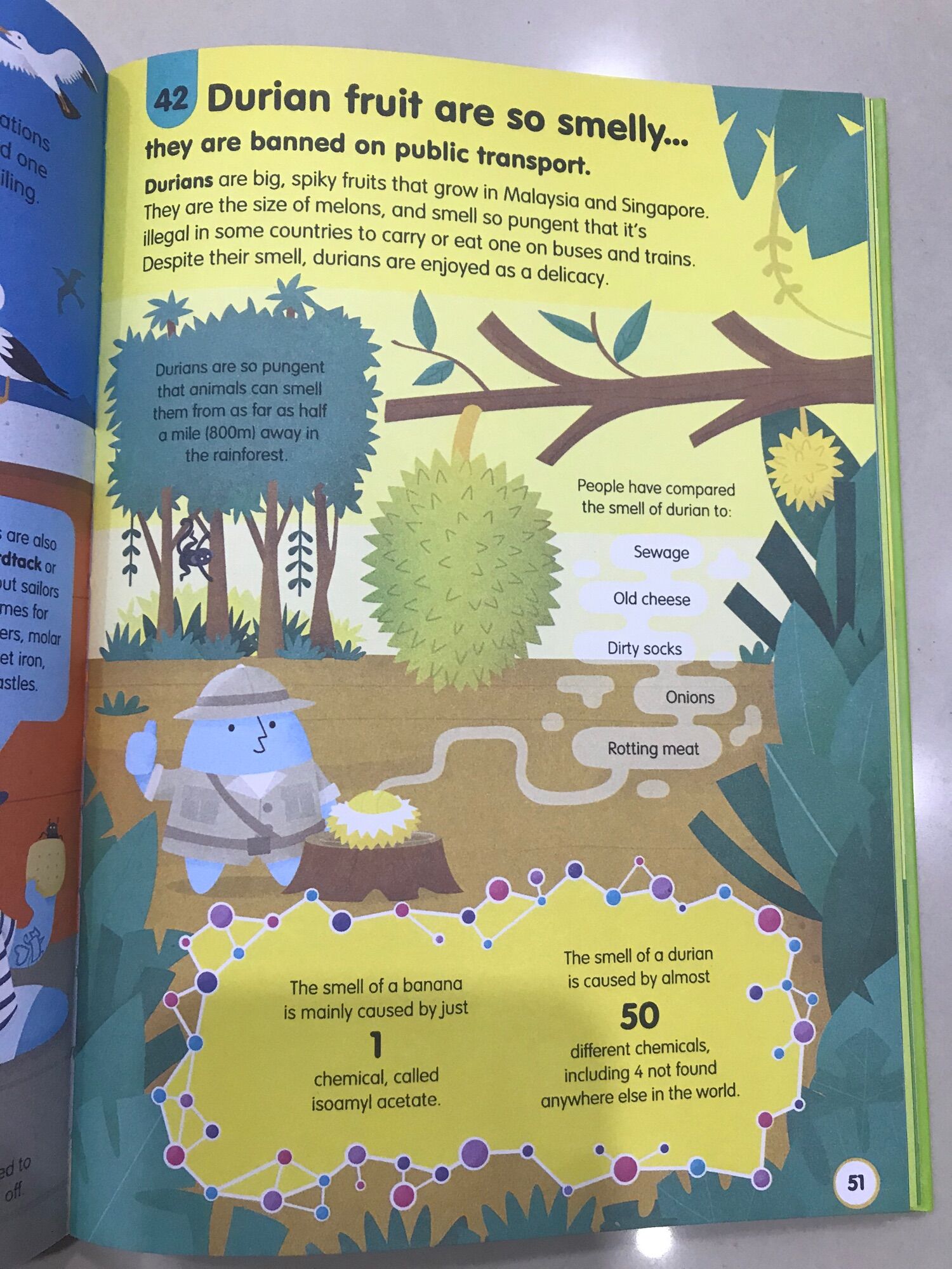100 things to know about Food