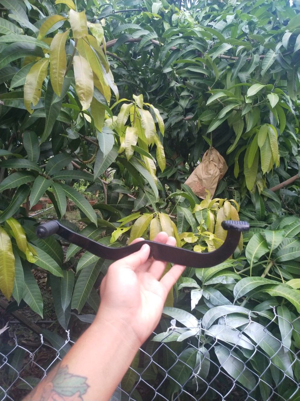 Cần số 2 chiều ex 135