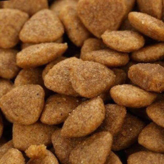 Hạt khô Catsrang mẫu cho mèo