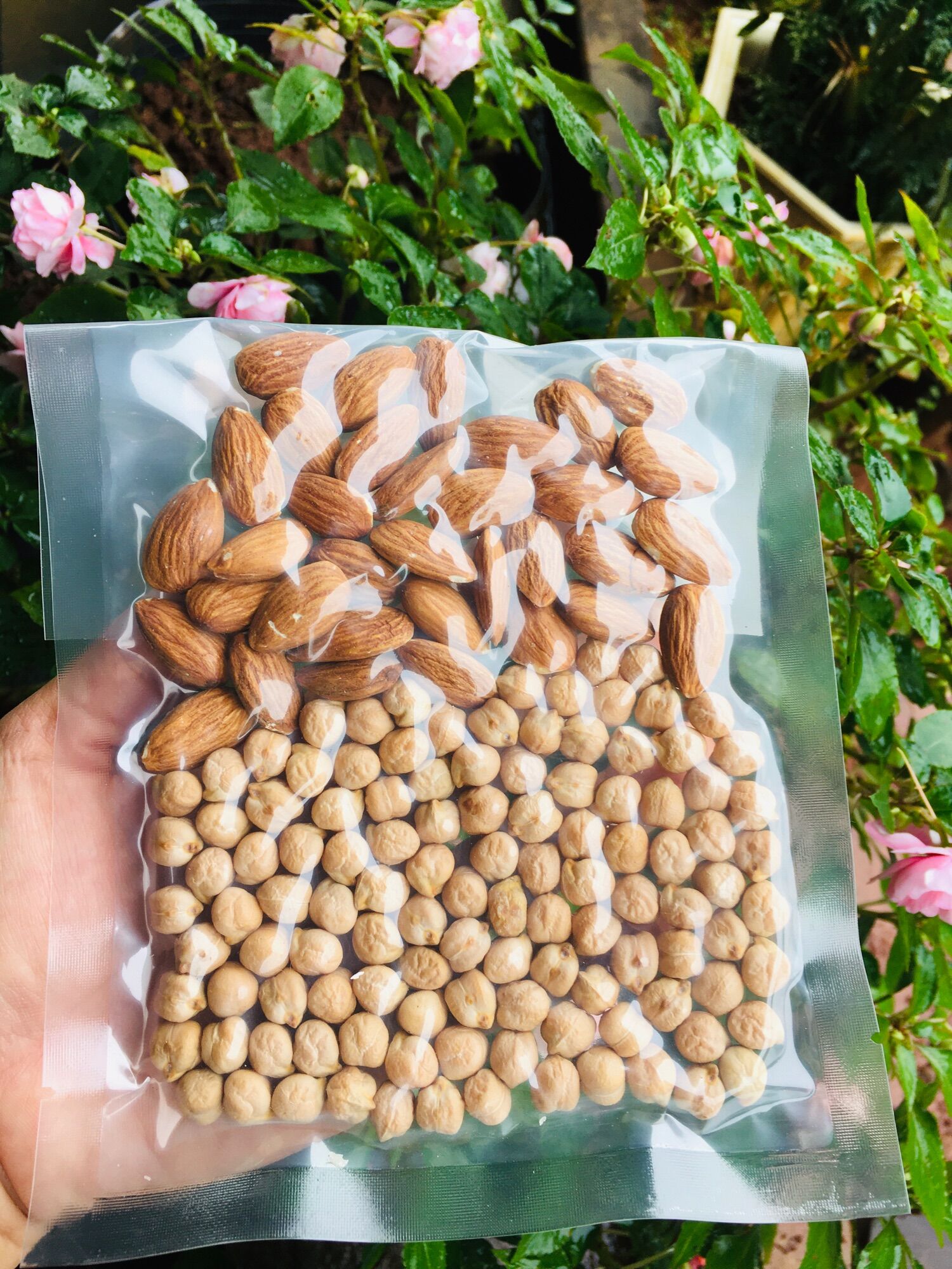 Sét 10 gói sữa hạt dinh dưỡng 100g/gói