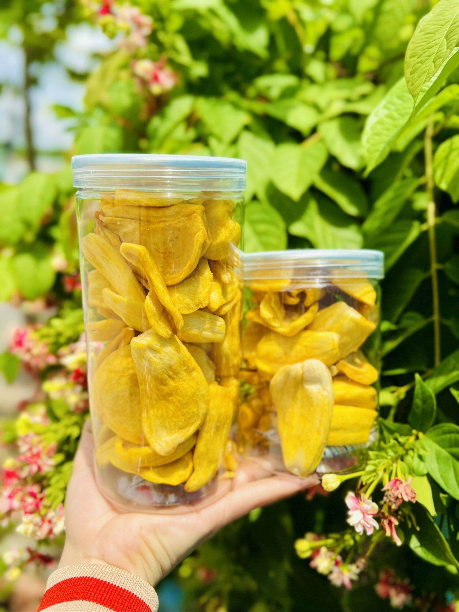 500g Mít sấy giòn xuất khẩu