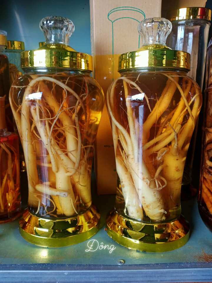 Rượu sâm dây Ngọc Linh