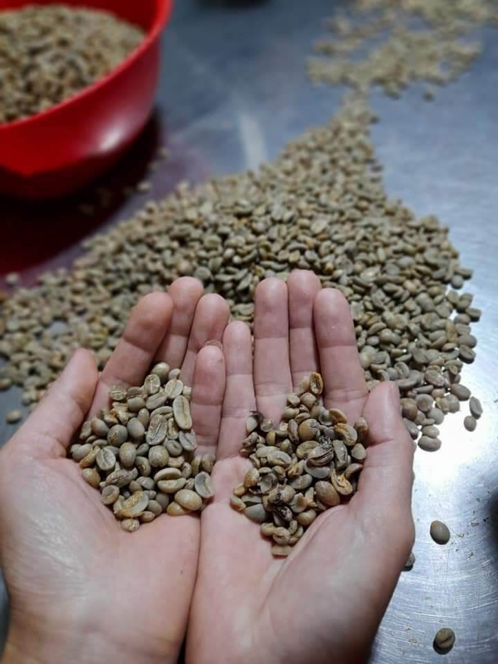 sỉ 5 ký cà phê rang say nguyên chất Bích hiền