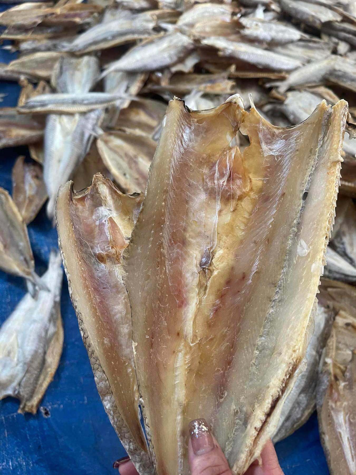 Khô cá mối mặn,mối ướp